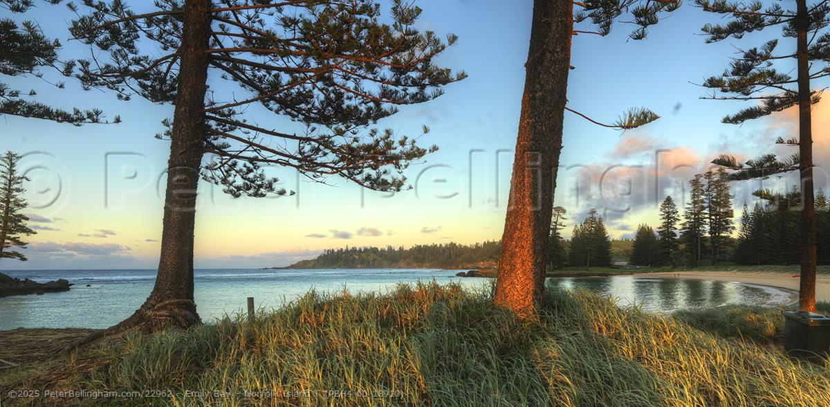 Peter Bellingham Photography Emily Bay - Norfolk Island T (PBH4 00 18910)